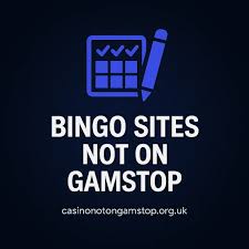 Discover the World of Online Bingo without Registration Discover the World of Online Bingo without Registration